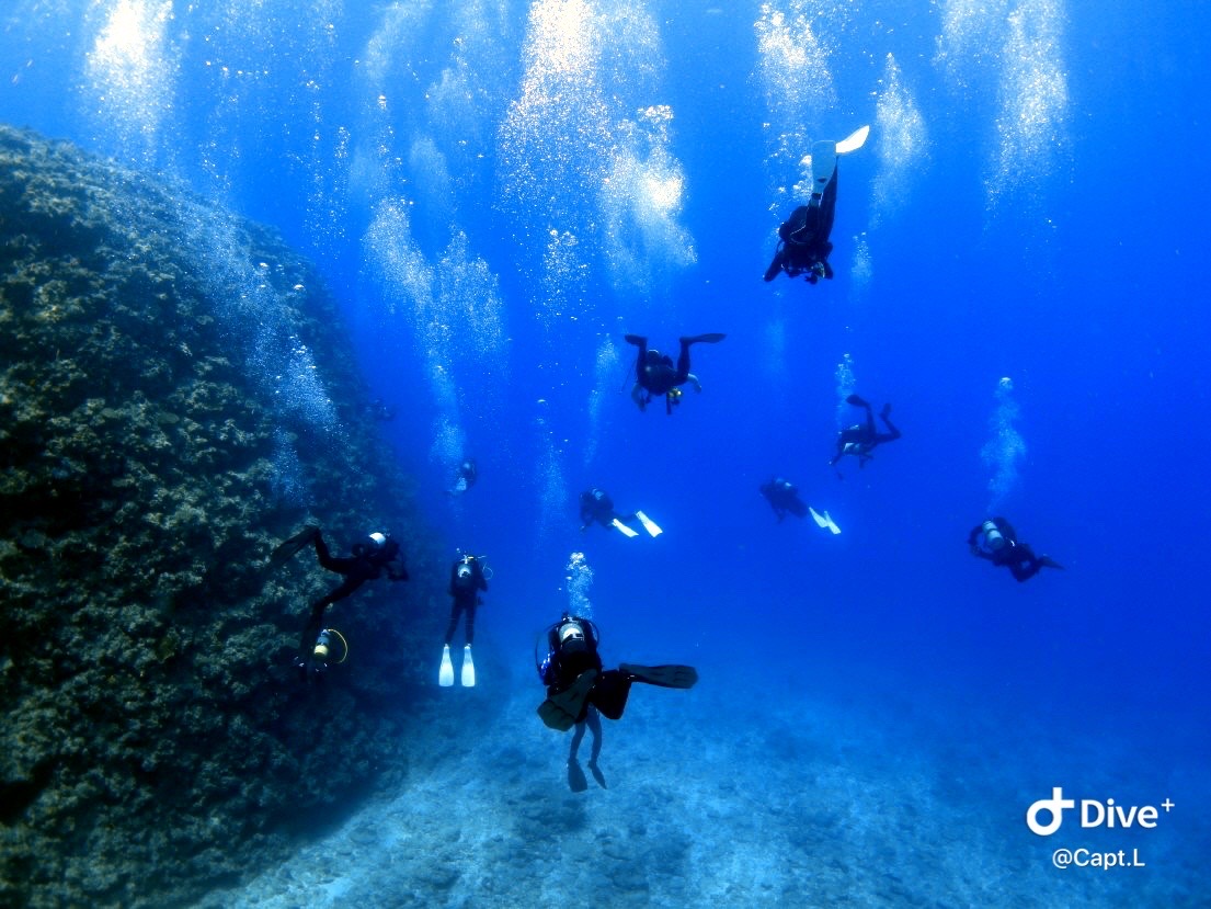 푸른 바닷속에서 여러 명의 스쿠버 다이버가 절벽처럼 떨어지는 해저 지형 옆을 지나가는 장면