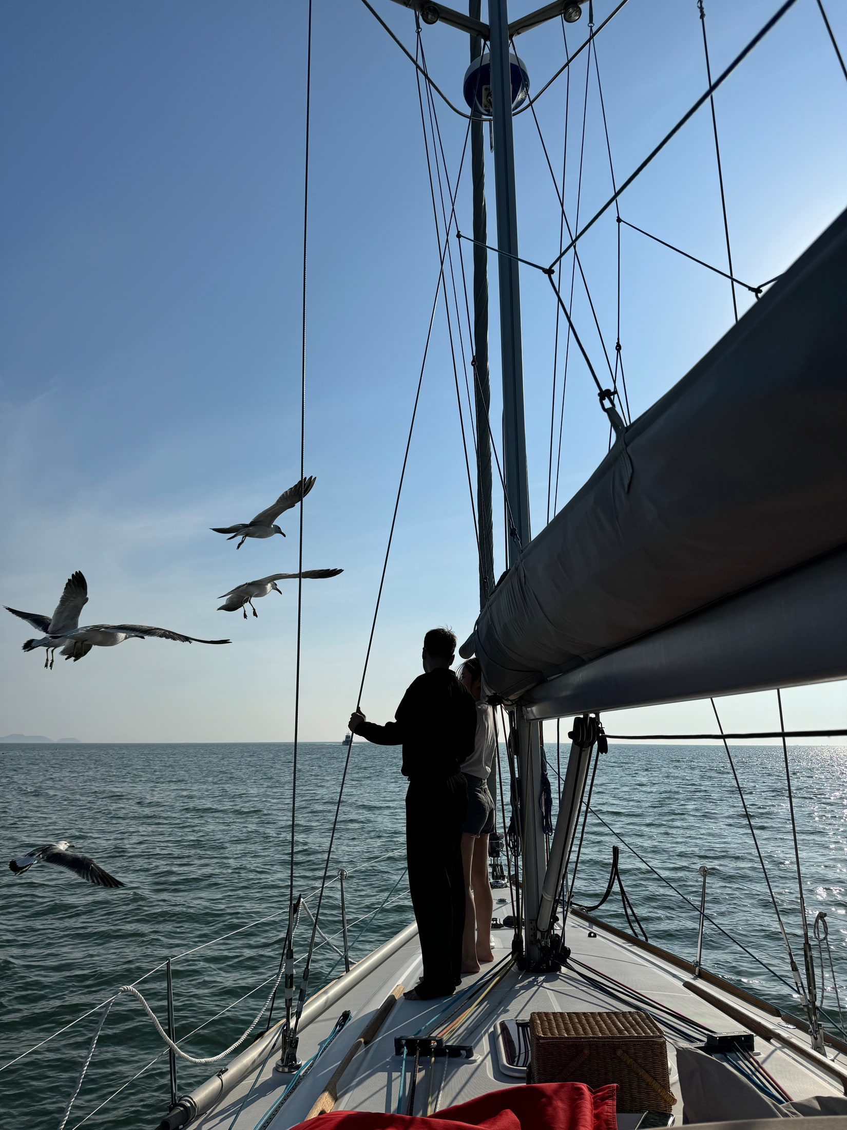 제부도 요트 데크 위에서 햇빛과 바다를 함께 담은 선상 사진