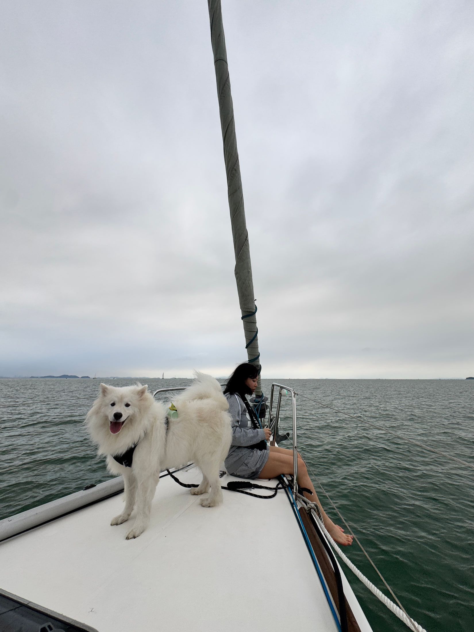 제부도 요트 투어 중 넓은 바다 배경을 담은 선상 장면