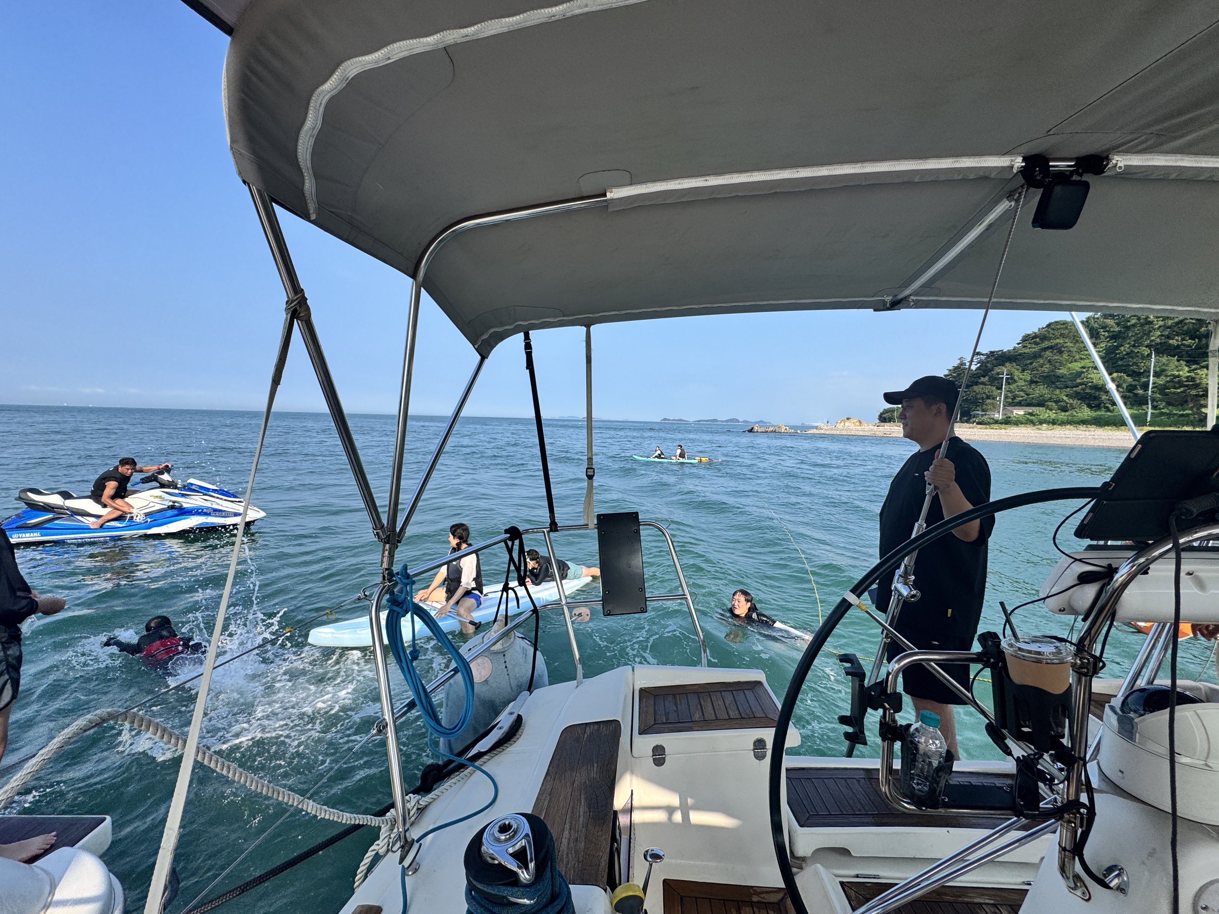 갈매기와 함께하는 항해