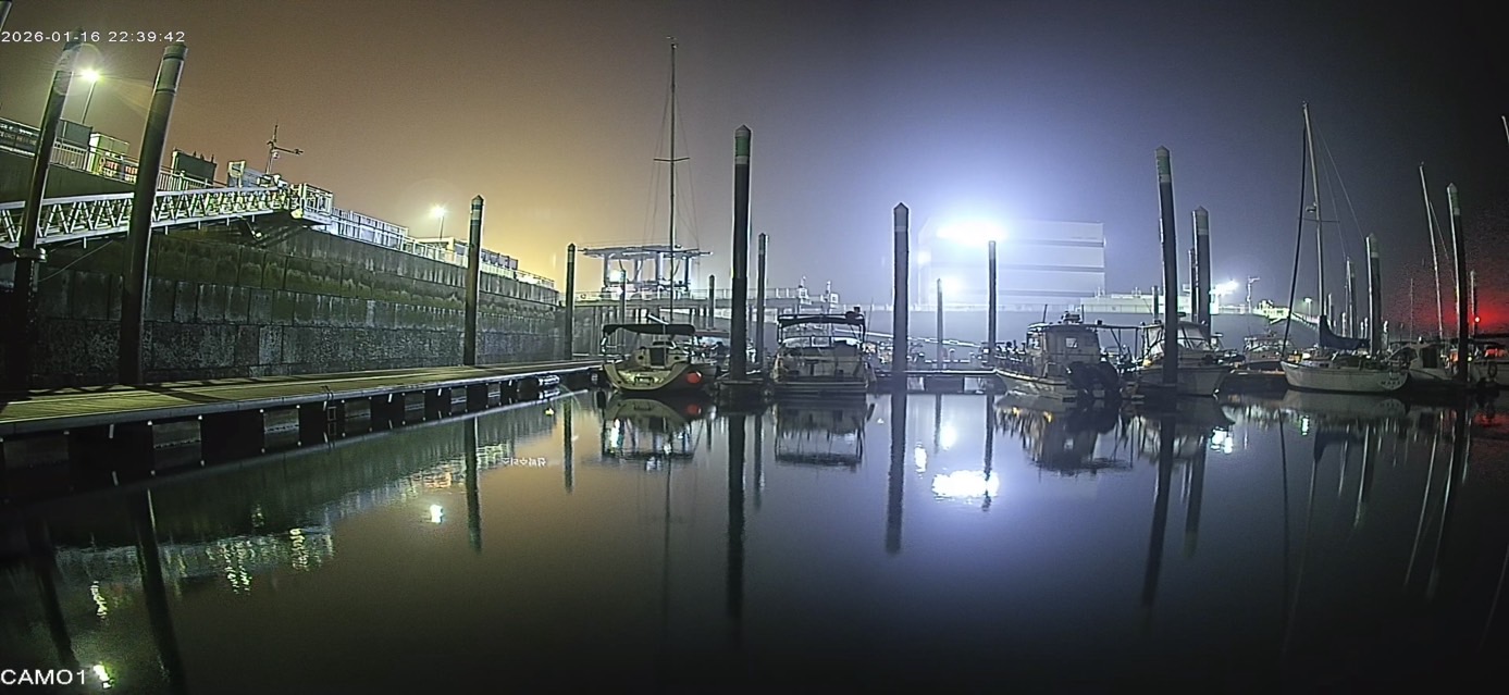 칠흑 같은 어둠 속에서도 선명하게 보이는 야간 투시 IP 카메라 화면